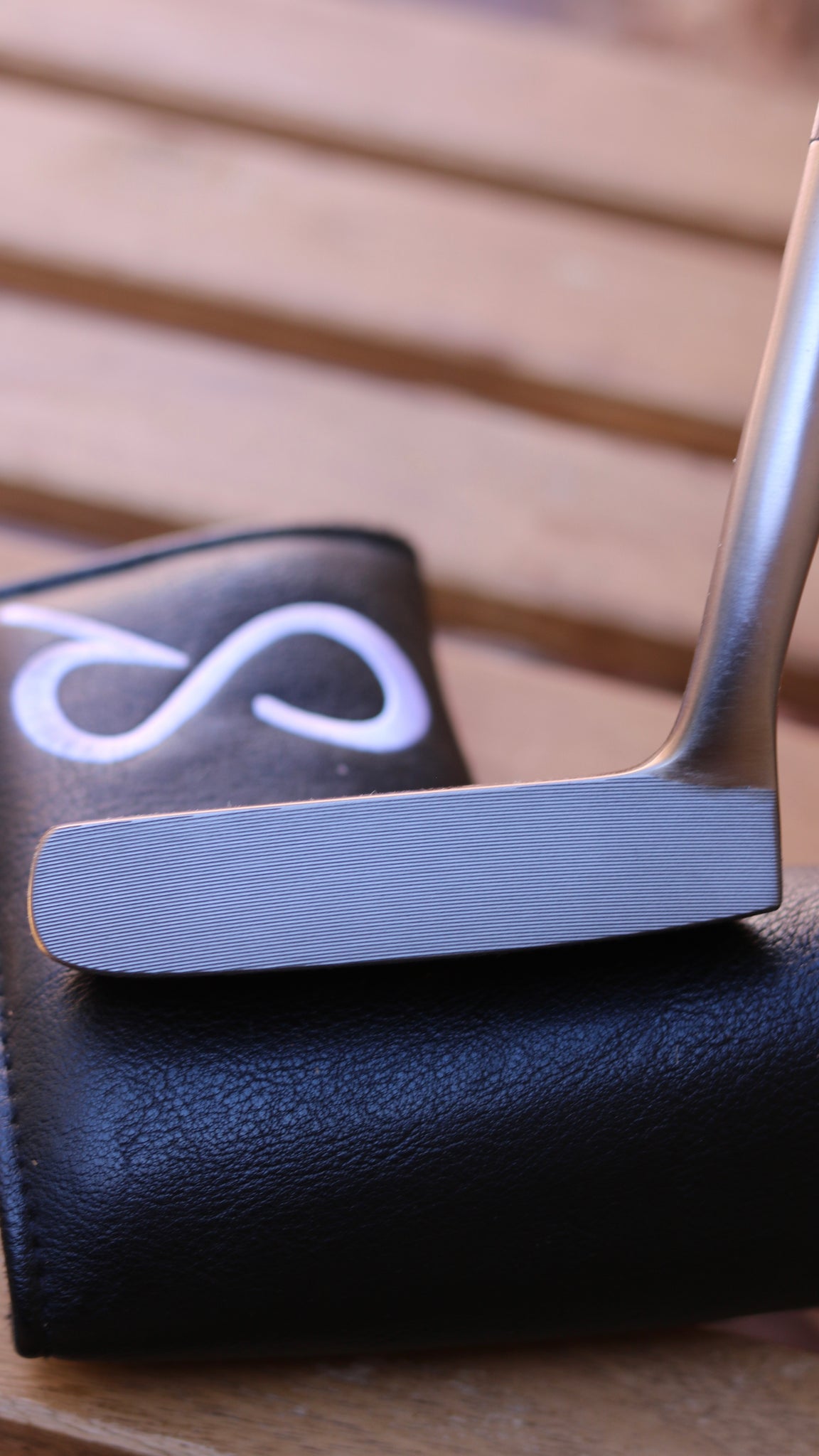 029 Putter