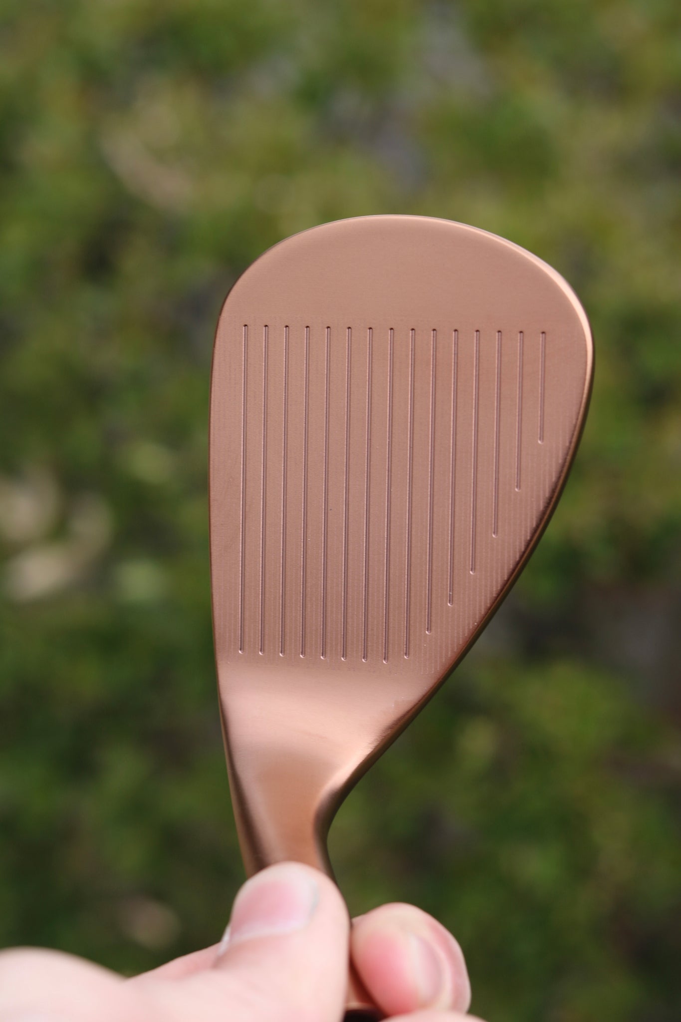 CP Classic Wedge Set